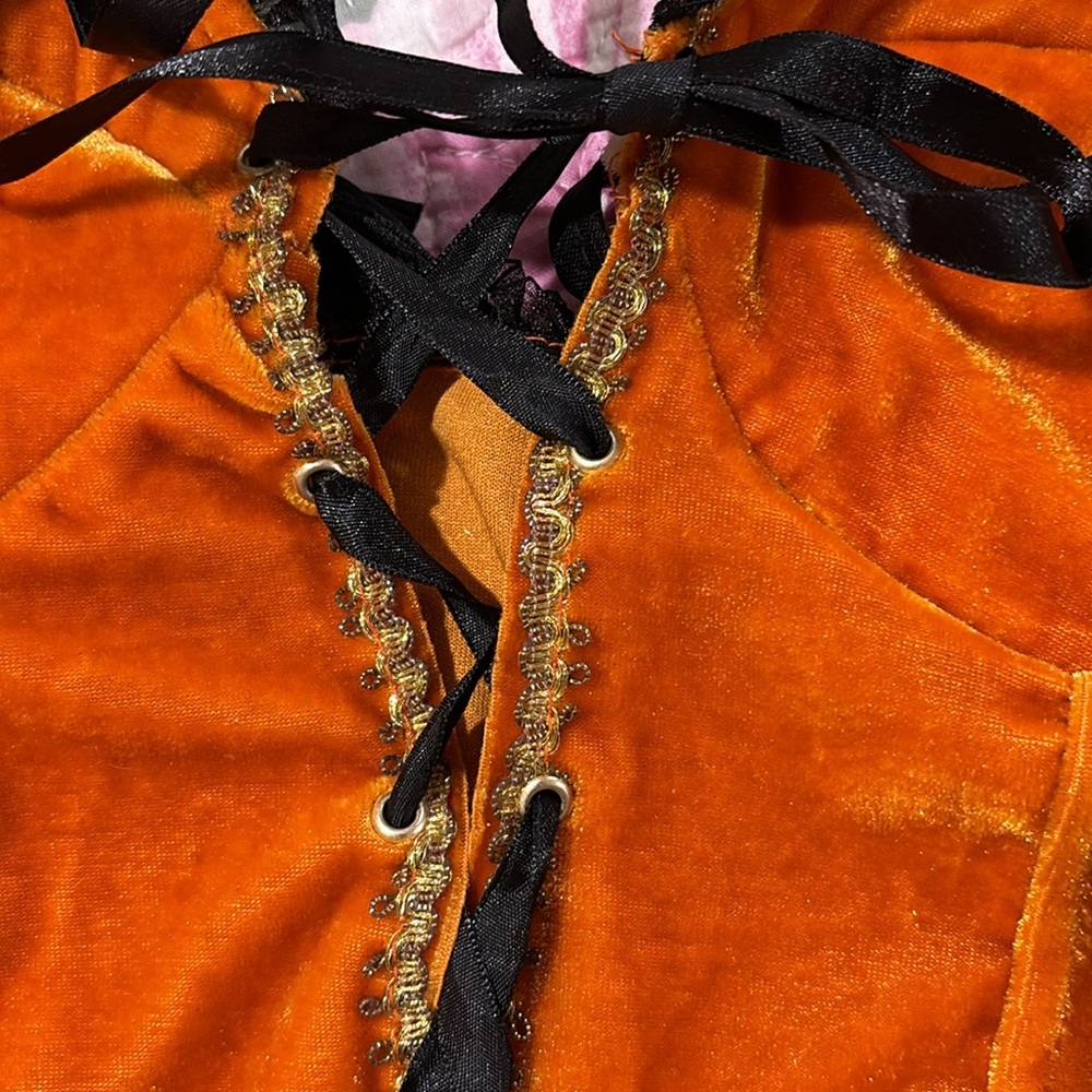 Sexy Velvet Witch Halloween Costume - Picture 12 of 15